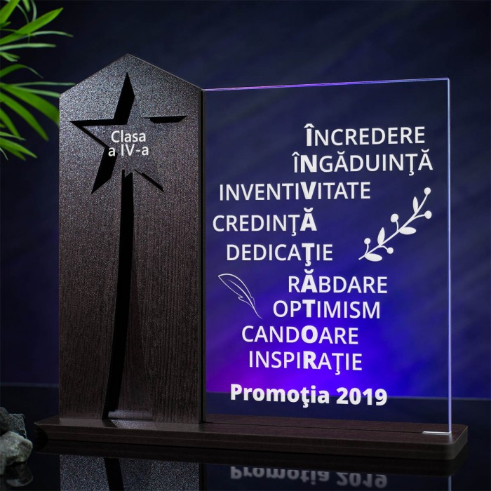 Trofeu Invatator, Calitati dascal, Cadou personalizat Astru