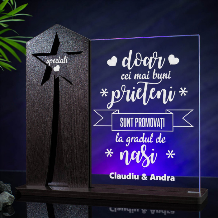 Trofeu Nasi, Prietenii devin nasi, Cadou personalizat Astru