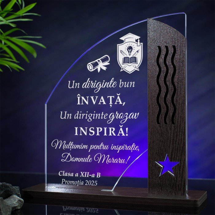 Trofeu Diriginte, Un indrumator grozav, Cadou personalizat Doric