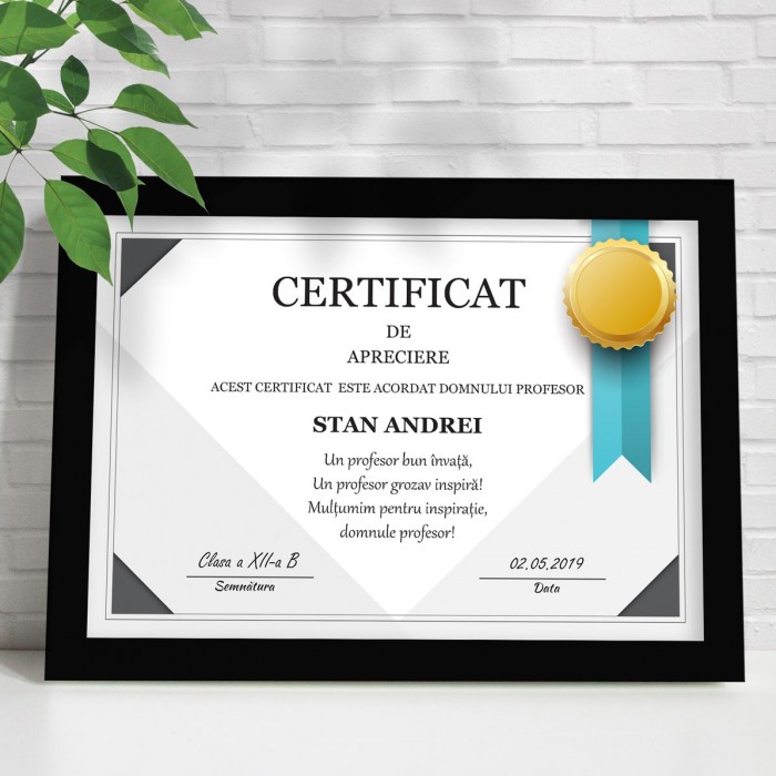 Diploma Profesor, Diriginte Scoala, Cadou personalizat