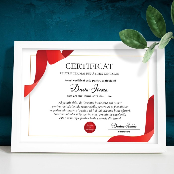 Diploma Sora, Premiu de excelenta, Cadou personalizat