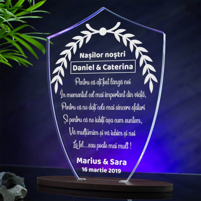 Trofeu Apreciere nasi, Cel mai important moment din viata, Cadou personalizat Scut 