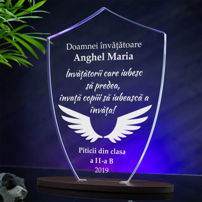 Trofeu Invatatoare, Iubesc sa predau, Cadou personalizat Scut