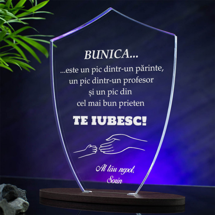 Trofeu Pentru bunica, Parinte, profesor si prieten, Cadou personalizat Scut
