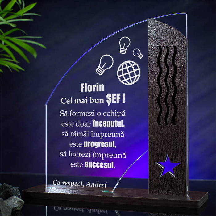 Trofeu Cel mai bun sef, Inceputul, Progresul si succesul, Cadou personalizat Doric