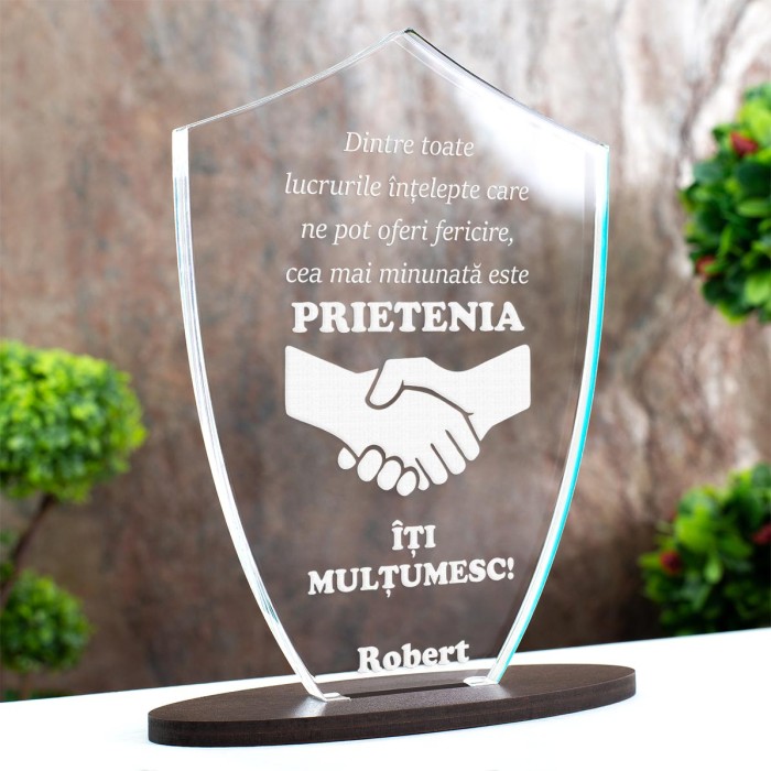 Trofeu Prietenie, Fericire, Iti multumesc pentru tot, Cadou personalizat Scut