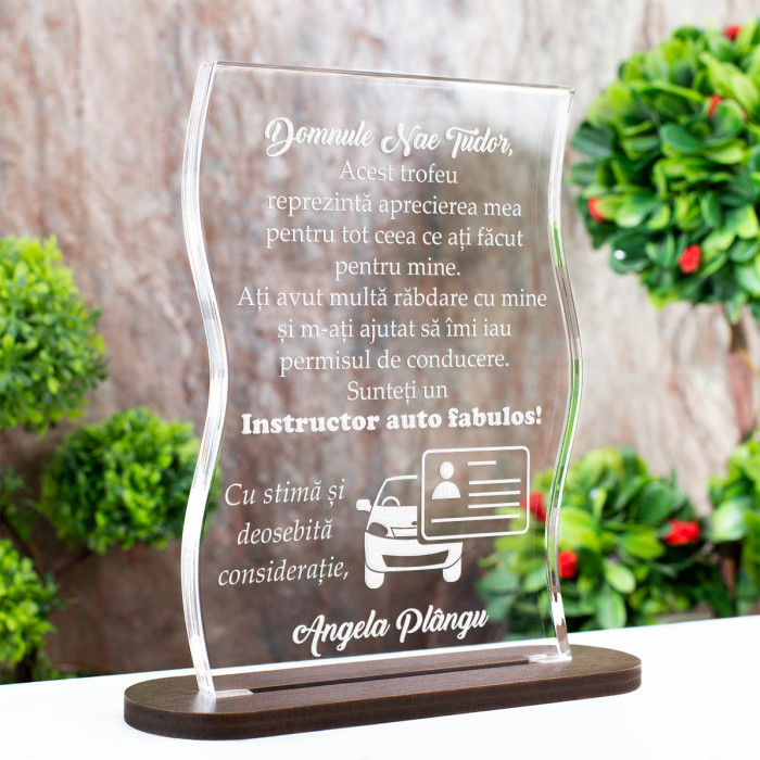 Trofeu Instructori Auto, Permis de conducere, Cadou personalizat Coloana