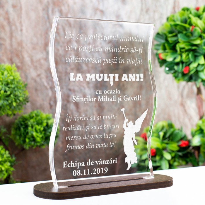 Trofeu Mihail Si Gavril, Urari pentru coleg, Cadou personalizat Coloana