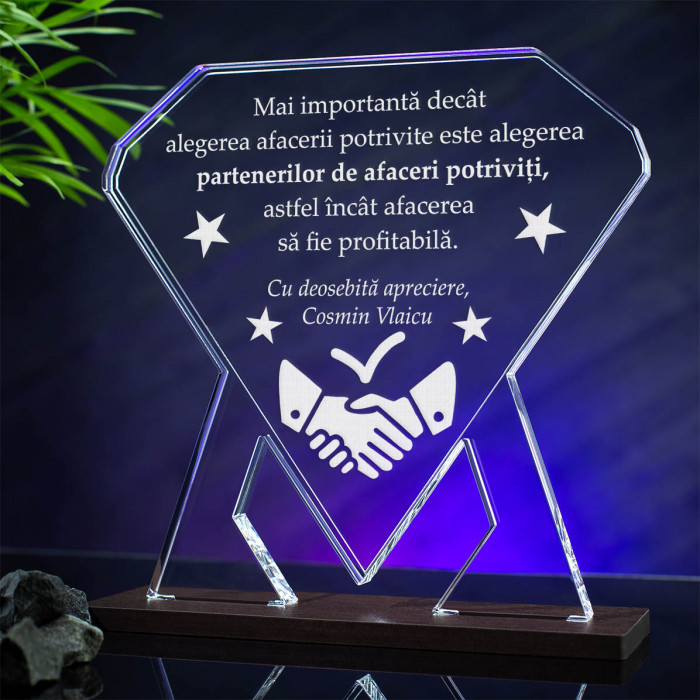 Trofeu Afacere, Parteneri de afaceri, Cadou personalizat Diamant