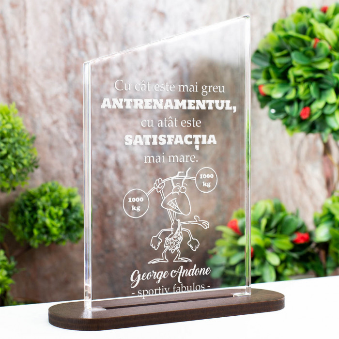 Trofeu Antrenori, Motivatia unui antrenor, Cadou personalizat Ascend