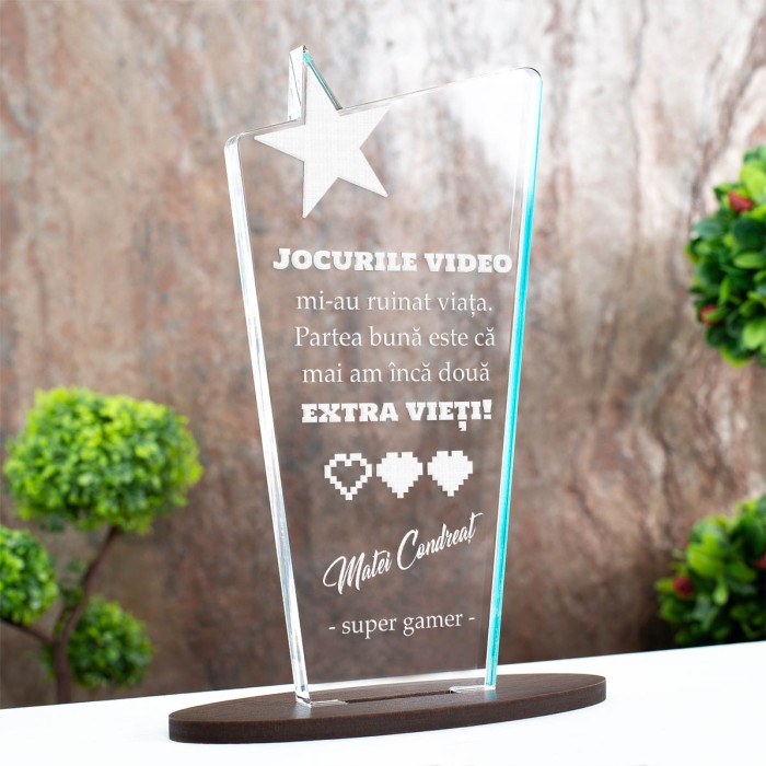 Trofeu Pasionati, Jocuri video, Cadou personalizat Cupa