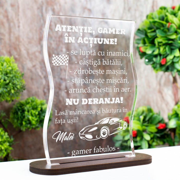 Trofeu Pasionati, Gamer in actiune, Cadou personalizat Coloana