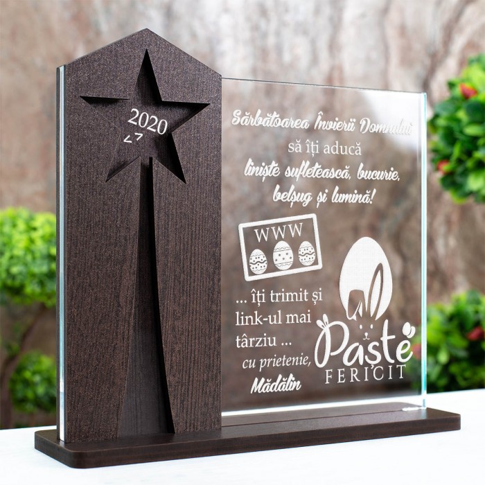 Trofeu Paste, Programator, Cadou personalizat Astru