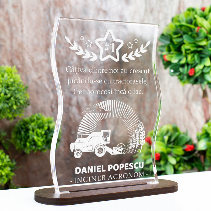 Trofeu Ingineri, Inginer agronom, Cadou personalizat Coloana