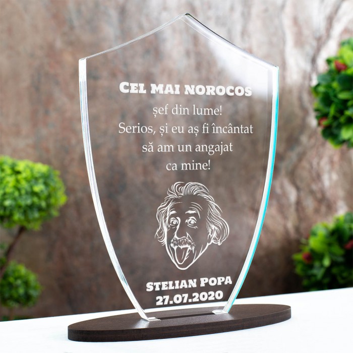 Trofeu Sefi, Norocos sa ai un angajat ca mine, Cadou personalizat Scut