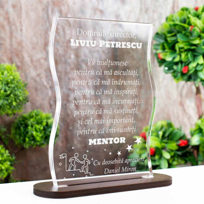 Trofeu Director, Mentor excelent,  Cadou personalizat Coloana