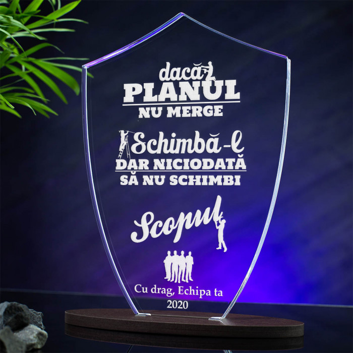 Trofeu Sefi, Schimba planul, dar nu scopul, Cadou personalizat Scut
