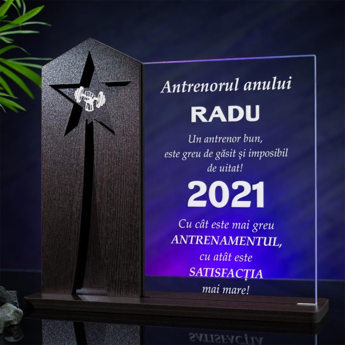 Trofeu Antrenori, Munca si perseverenta, Cadou personalizat Astru