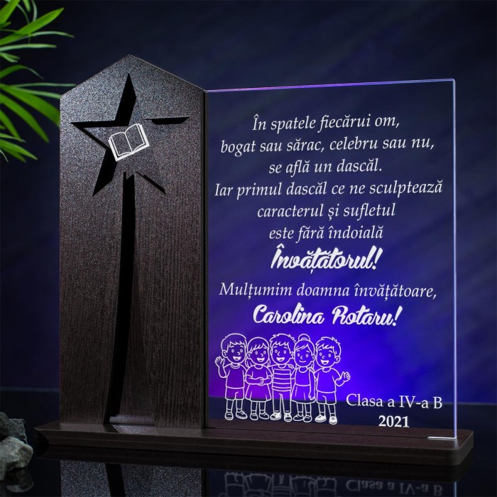 Trofeu-Invatatoare,-Dascal-exceptional,-Cadou-personalizat-Astru