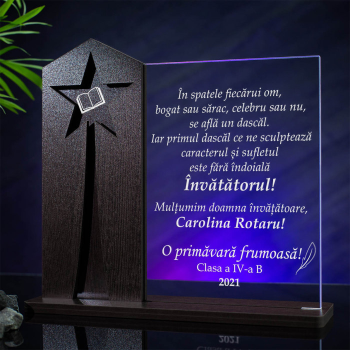 Trofeu Invatatoare, Dascal exceptional, Cadou personalizat Astru