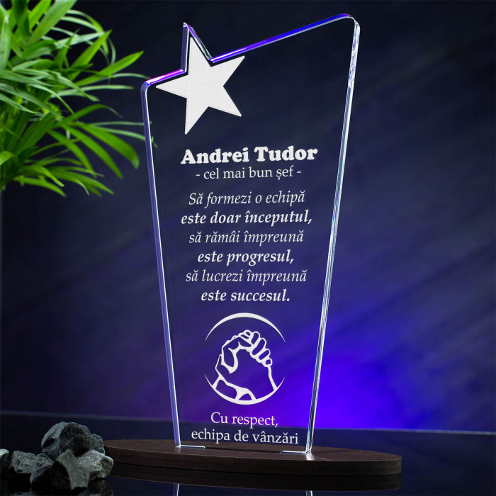 Trofeu Sef, Reusite si succes, Cadou personalizat Cupa