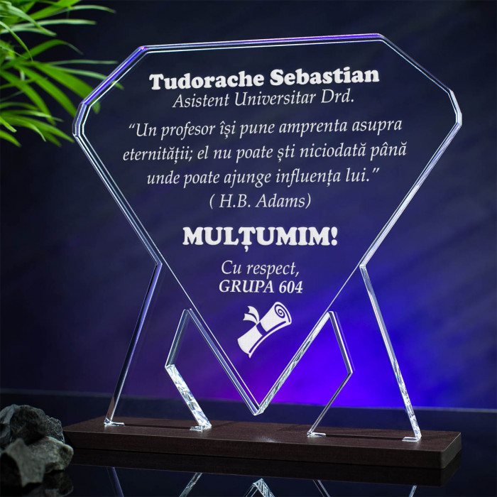 Trofeu Profesor universitar, Multumiri, Cadou personalizat Diamant