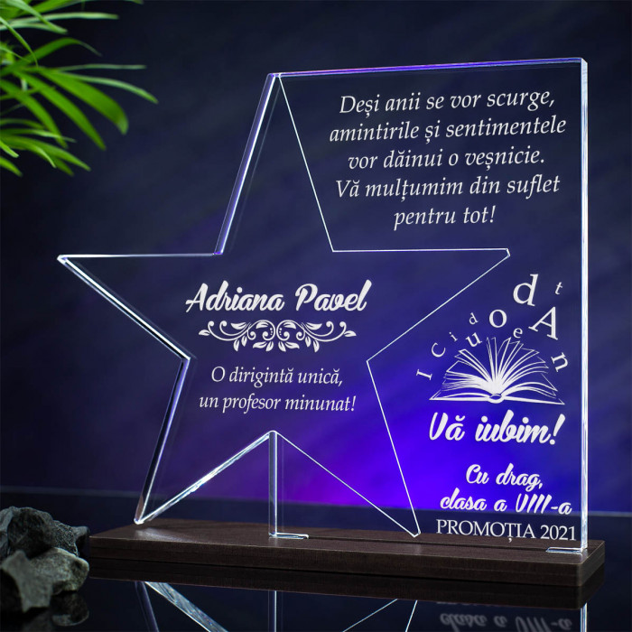 Trofeu Diriginta, Profesor minunat, Cadou personalizat Stea