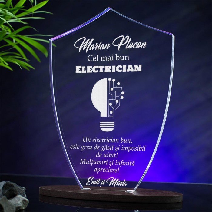 Trofeu Electricieni, Un electrician bun, Cadou personalizat Scut