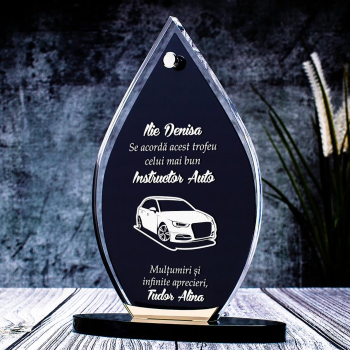 Trofeu Instructori Auto, Recunostinta, Cadou personalizat Elpis