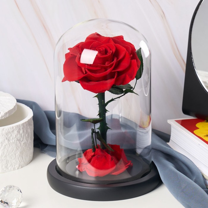 Trandafir criogenat rosu in cupola de sticla – cadou romantic si elegant