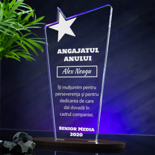 Cadou personalizat Trofeu Plexiglas - Cupa Angajatul anului